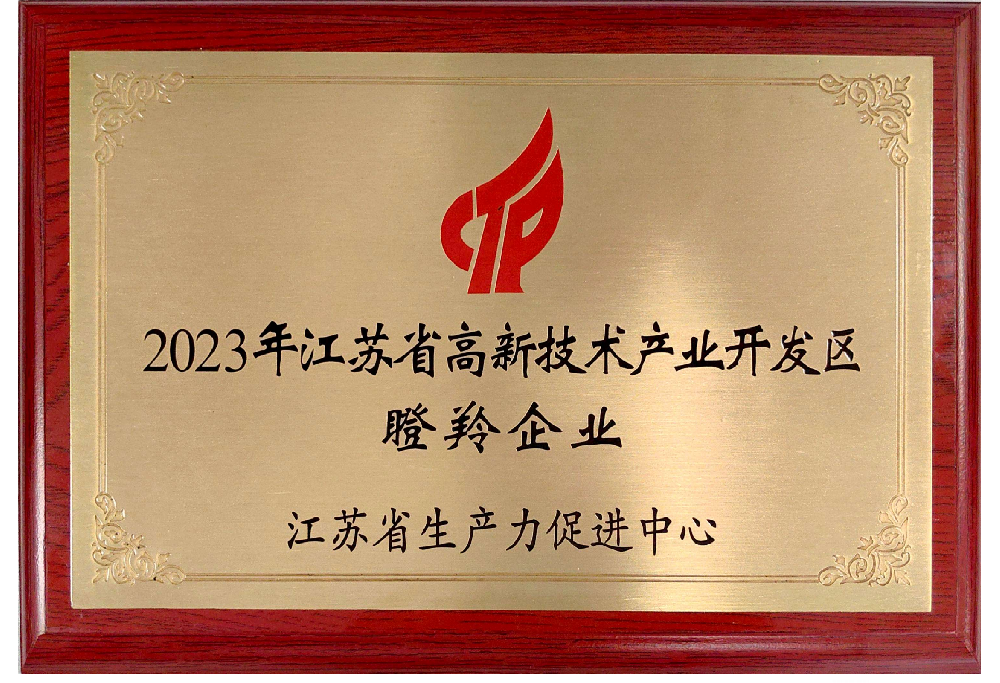 乐玩LEWIN再获“瞪羚企业”称号